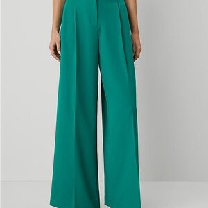 Ann Taylor Green Pleated Wide-Leg Women's Pants 12P